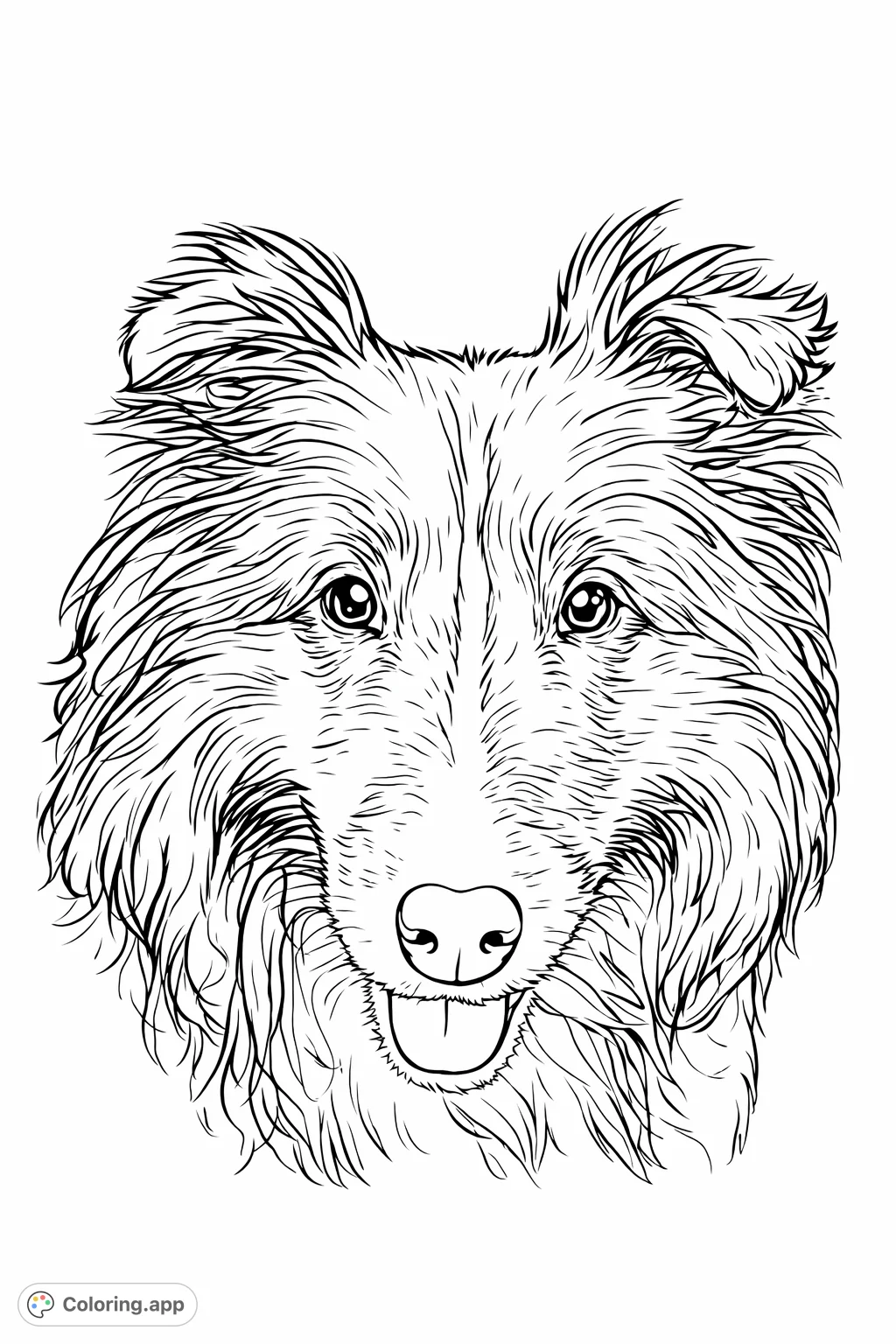 A charming close-up of a fluffy dog's face with expressive eyes and a sweet expression, perfect for animal lovers to color and personalize.