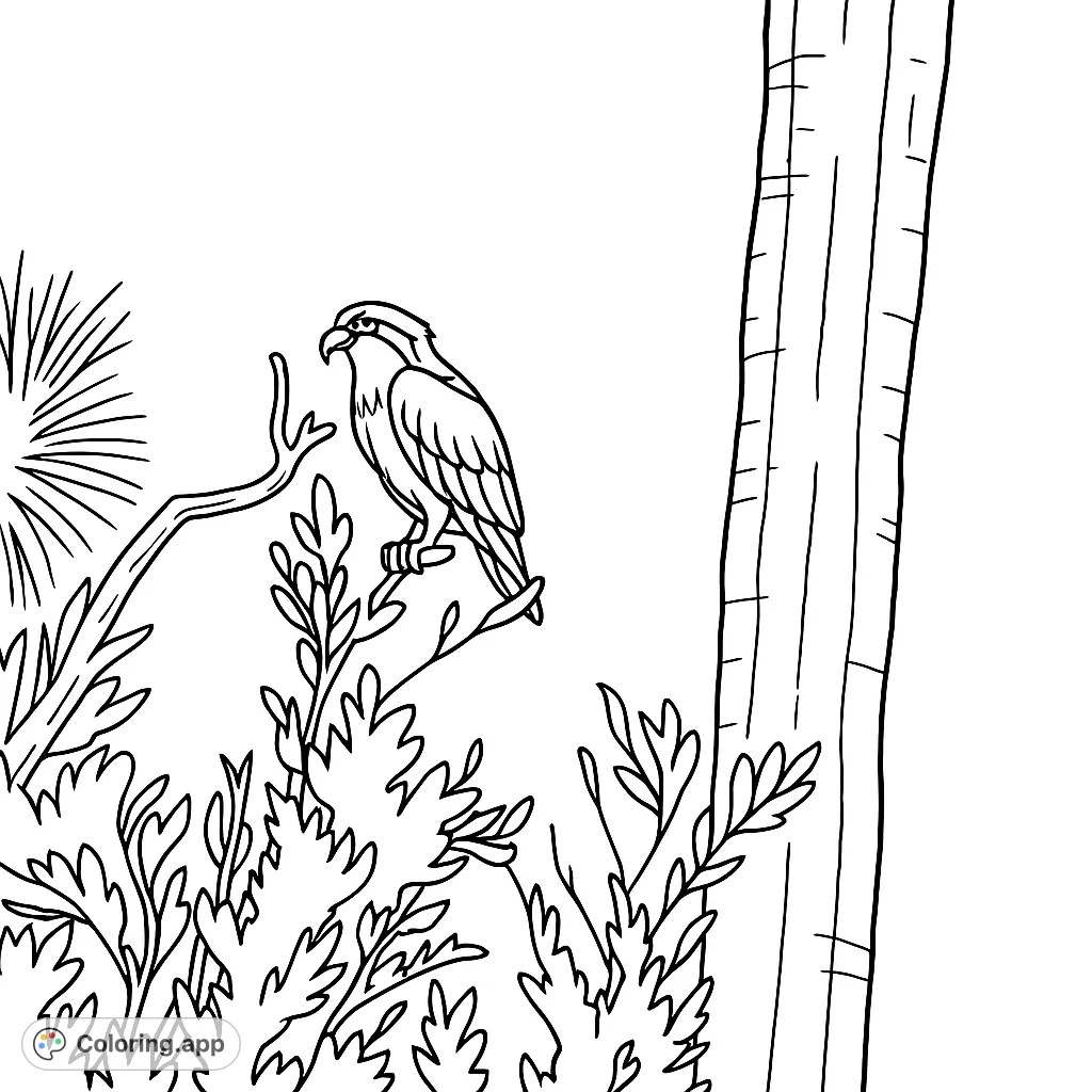 A majestic osprey perches on a leafy branch, overlooking its domain. A detailed bird coloring page for nature enthusiasts.