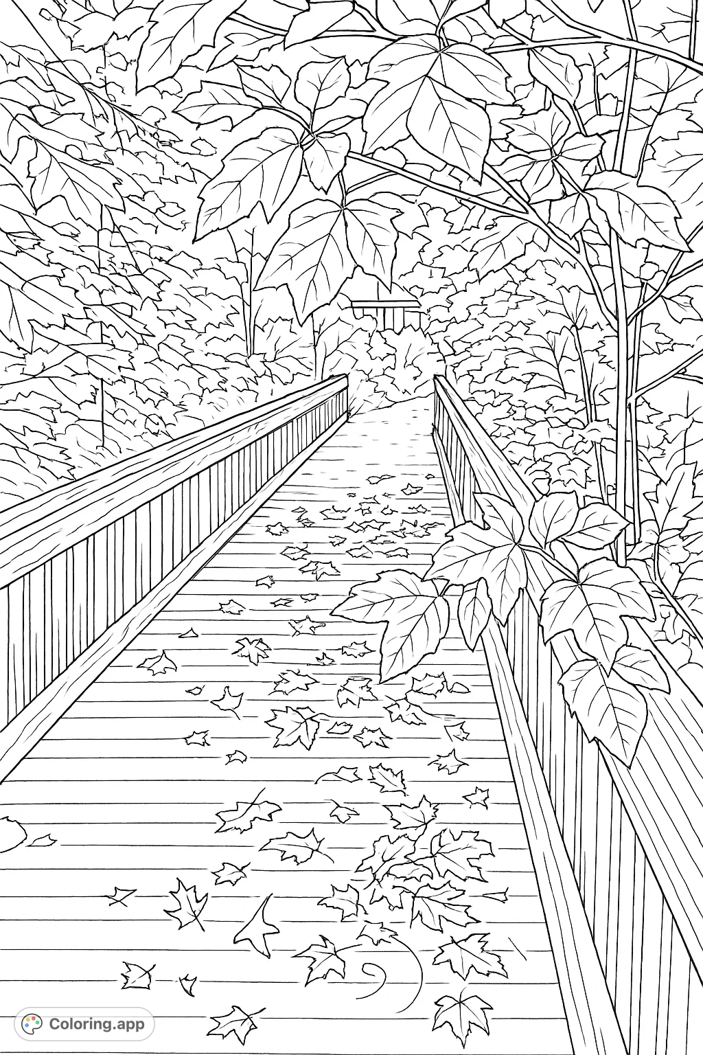 A serene forest boardwalk scene, adorned with scattered leaves and surrounded by lush foliage, perfect for a relaxing nature-themed coloring experience.