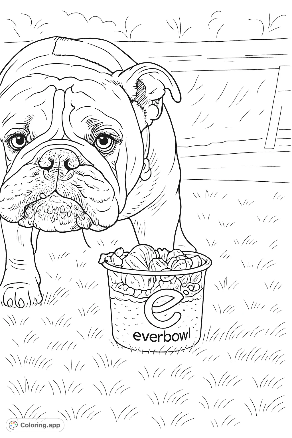 A charming bulldog gazes curiously at a delicious fruit and granola bowl on a grassy lawn. A delightful pet-themed coloring page for all ages.