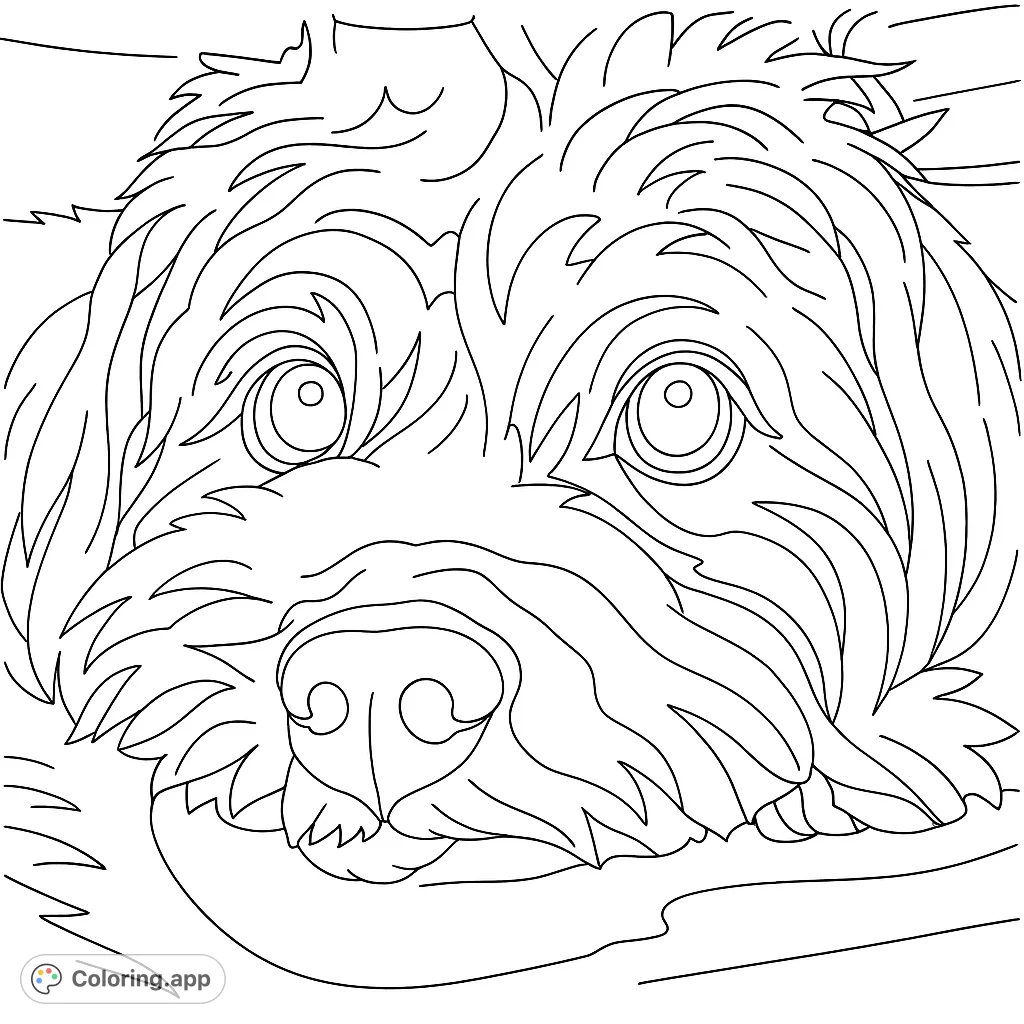 An adorable fluffy dog's face, with expressive eyes and a soft texture, perfect for a heartwarming coloring experience. A charming free printable dog coloring page.