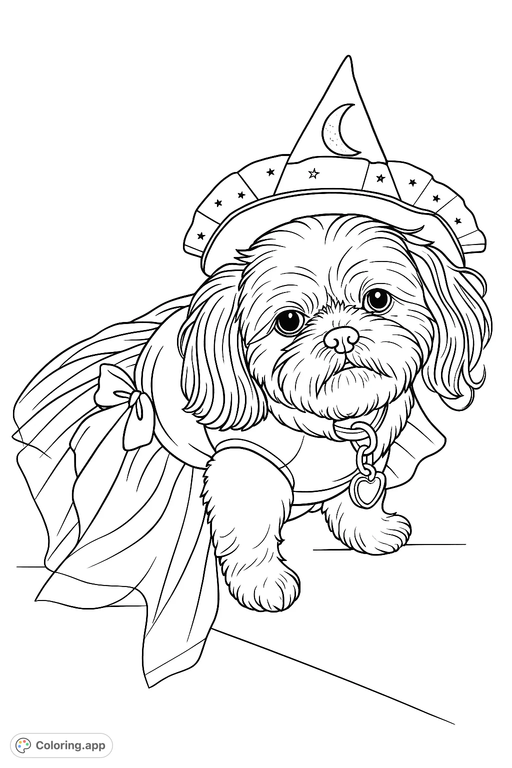 An adorable Shih Tzu dressed in a charming witch costume, complete with a pointed hat and flowing skirt, ready for a magical adventure.