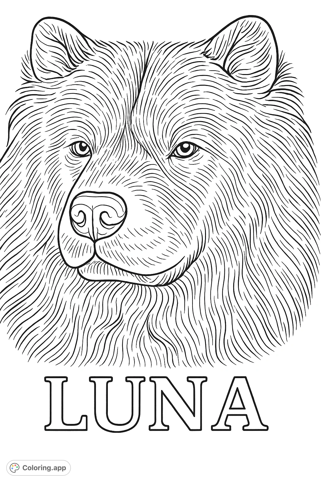 A detailed Chow Chow dog portrait with intricate fur textures and expressive features. Includes the name 'LUNA' below for a personal touch.