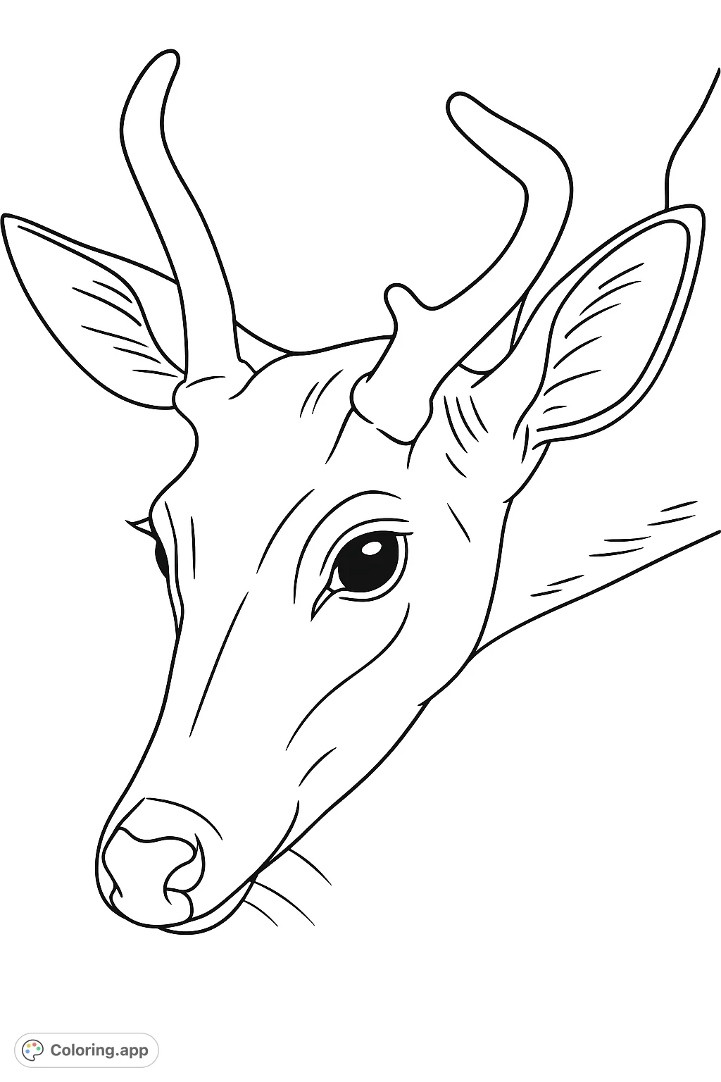 Discover a stunning young deer portrait. This detailed animal coloring page features a gentle buck with evolving antlers, perfect for nature enthusiasts.