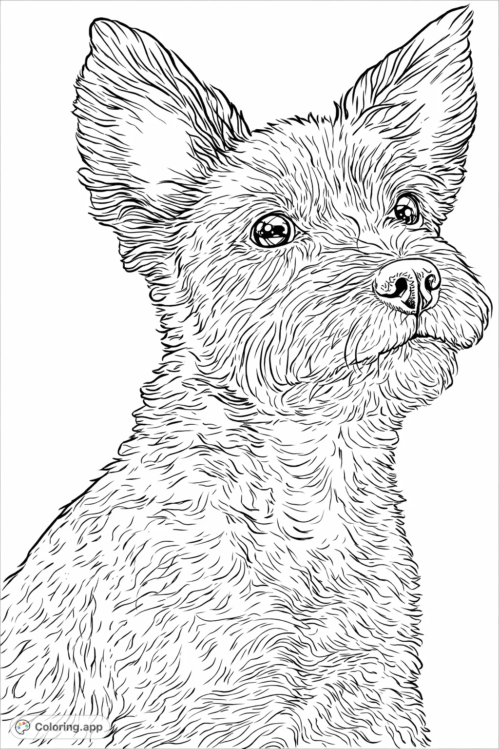 Capture the charming gaze of this adorable scruffy dog with prominent ears and wonderfully textured fur. A delightful challenge for pet lovers.