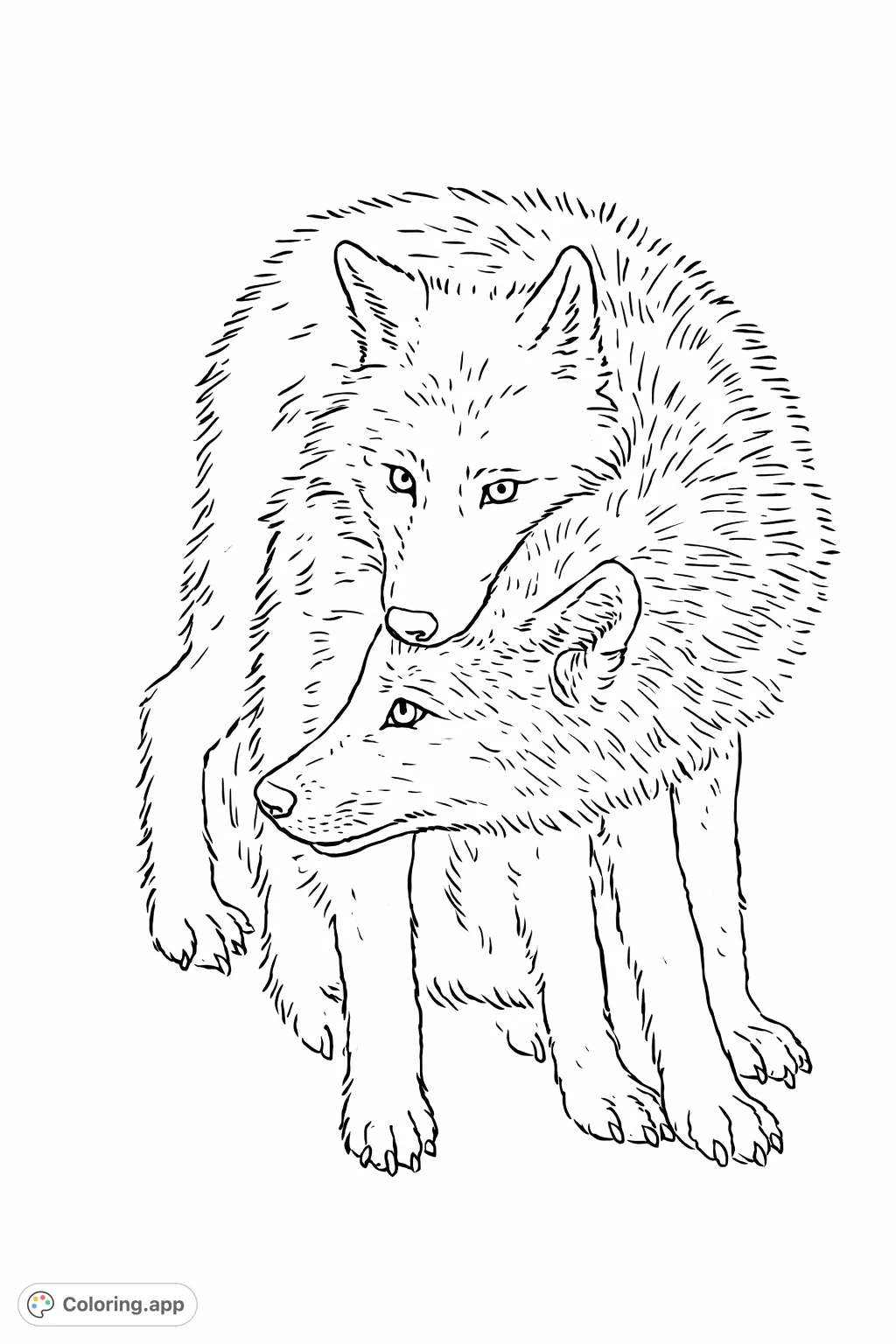 An endearing scene of two wolves embracing in a serene winter landscape. Perfect for nature lovers to bring to life with creative colors.