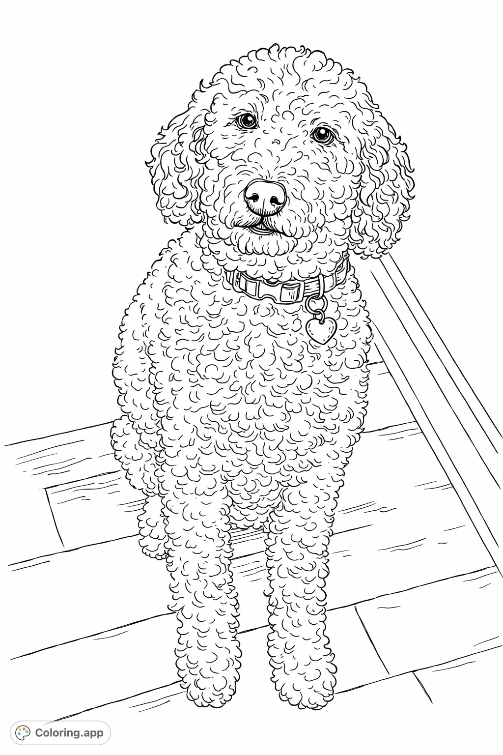 A charming, fluffy dog with intricate curly fur sits patiently, featuring expressive eyes and a detailed collar. Perfect for pet lovers to bring to life.