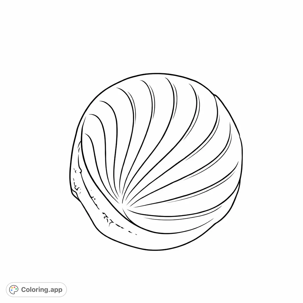 A delightful Concha sweet bread with its iconic shell-like pattern, inviting you to add your unique touch of flavor and artistry.