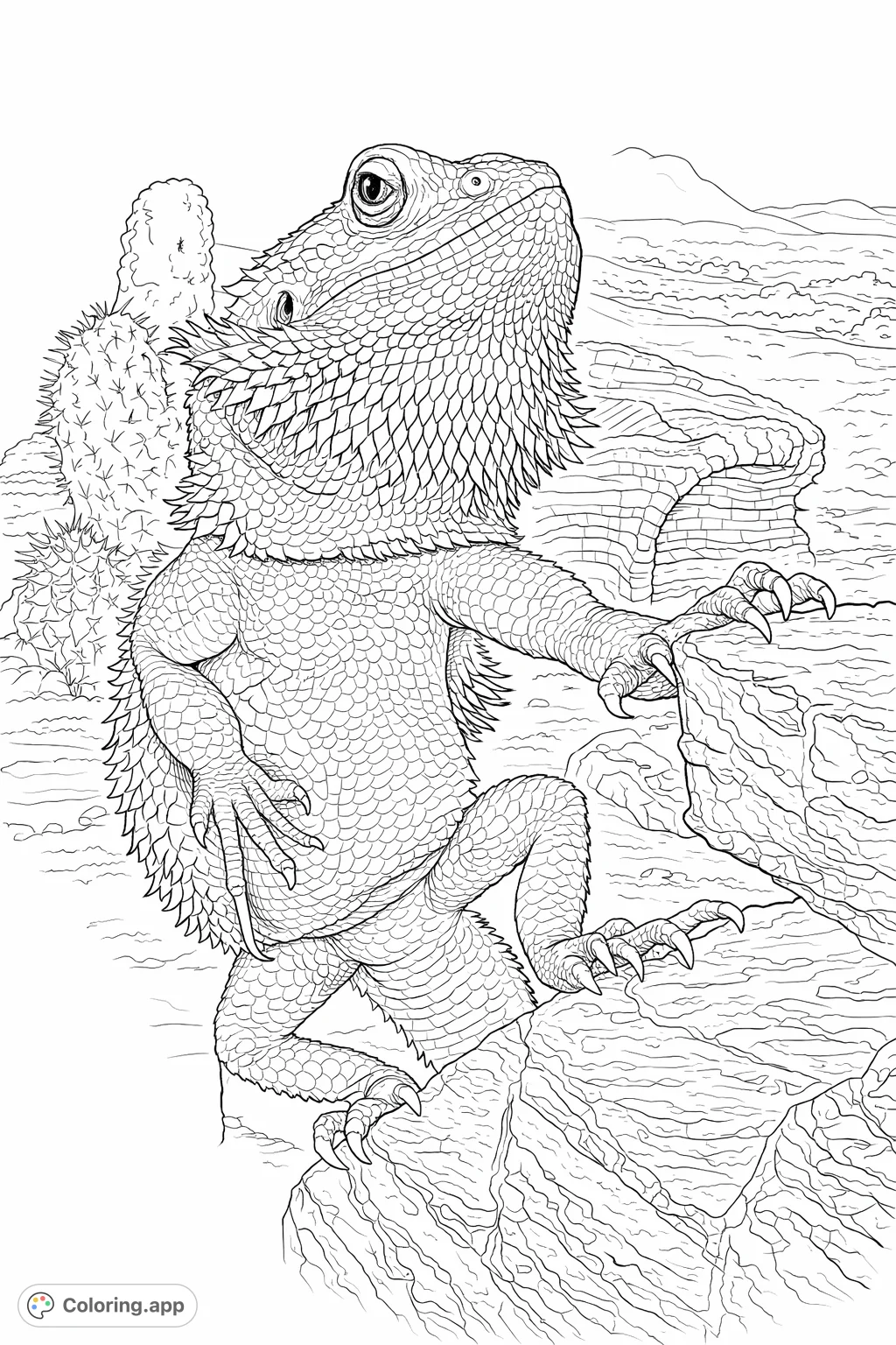 An adventurous bearded dragon stands tall on a textured rock, its scaly form detailed with spikes. A captivating reptile coloring page for all ages.