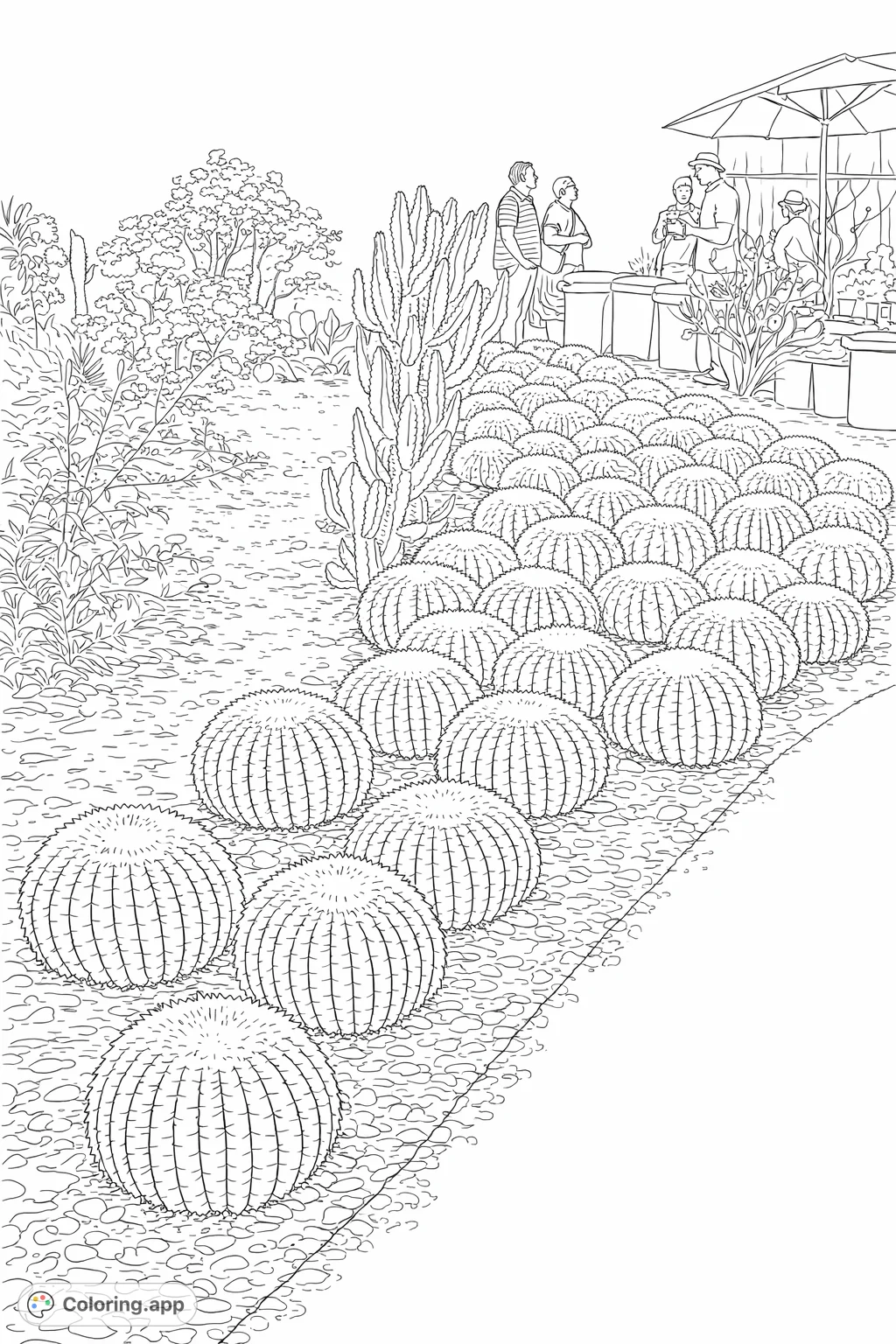 Discover a captivating desert cactus garden with numerous spherical cacti, each intricately detailed with spines, arranged in beautiful, receding rows on a rocky bed.