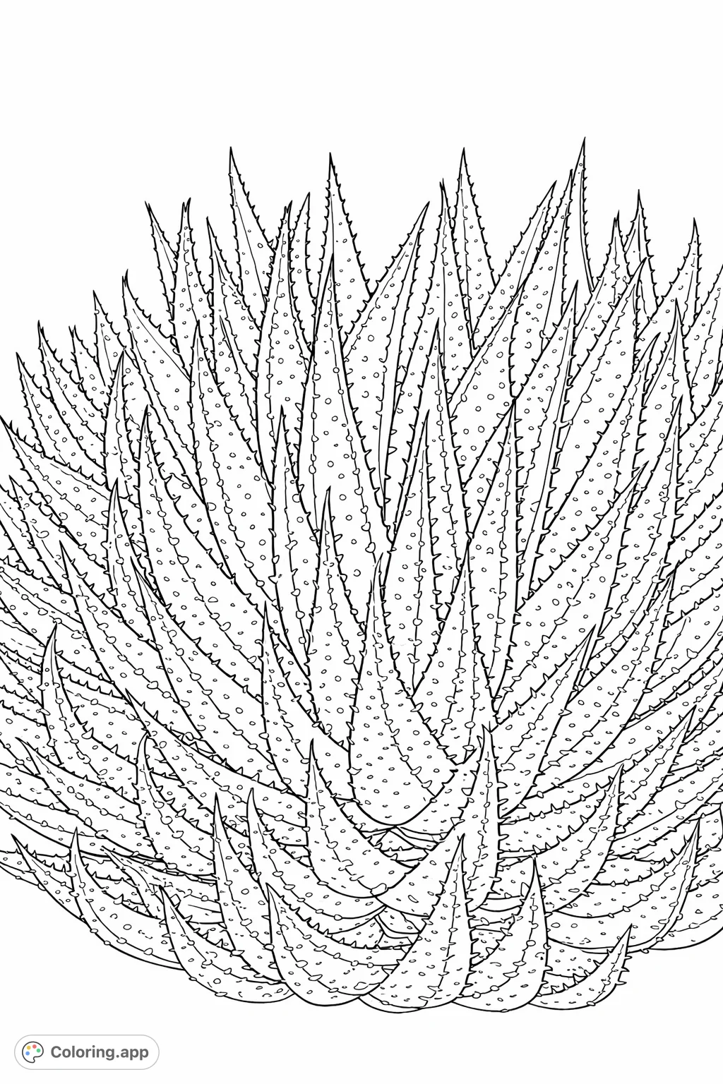 Explore a dense cluster of spiky succulents, featuring pointed leaves with intricate dot patterns and textured edges. A captivating botanical design for focused coloring.
