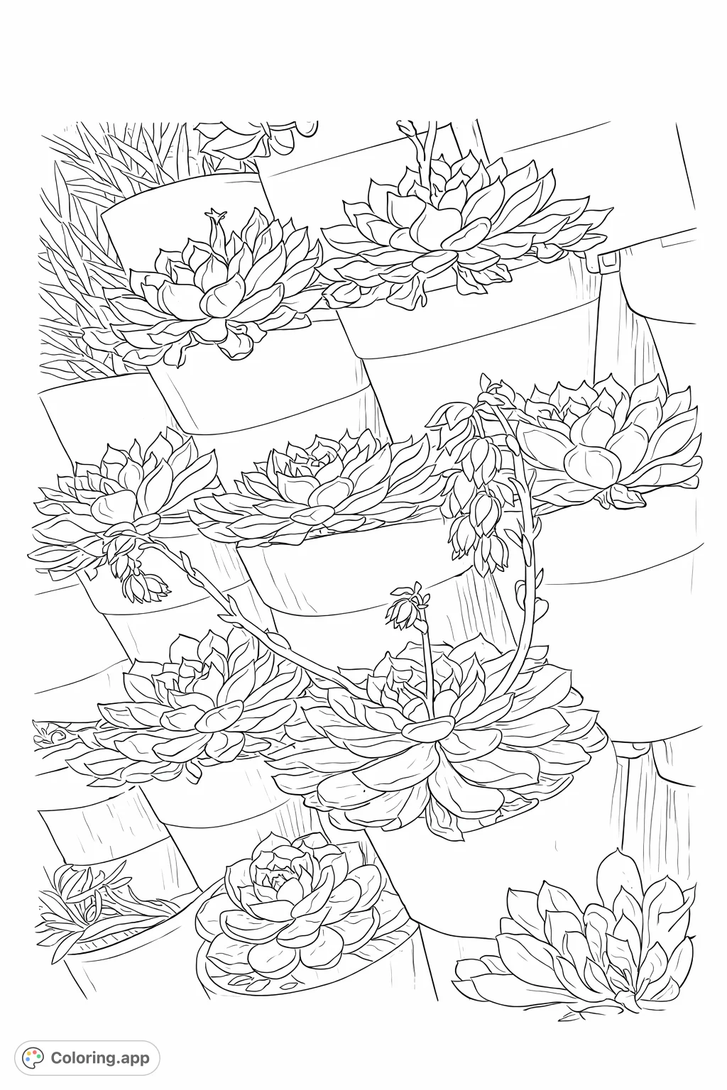 Explore the serene beauty of a succulent vertical garden. This realistic coloring page features various rosette plants with intricate details, perfect for a calming artistic escape.