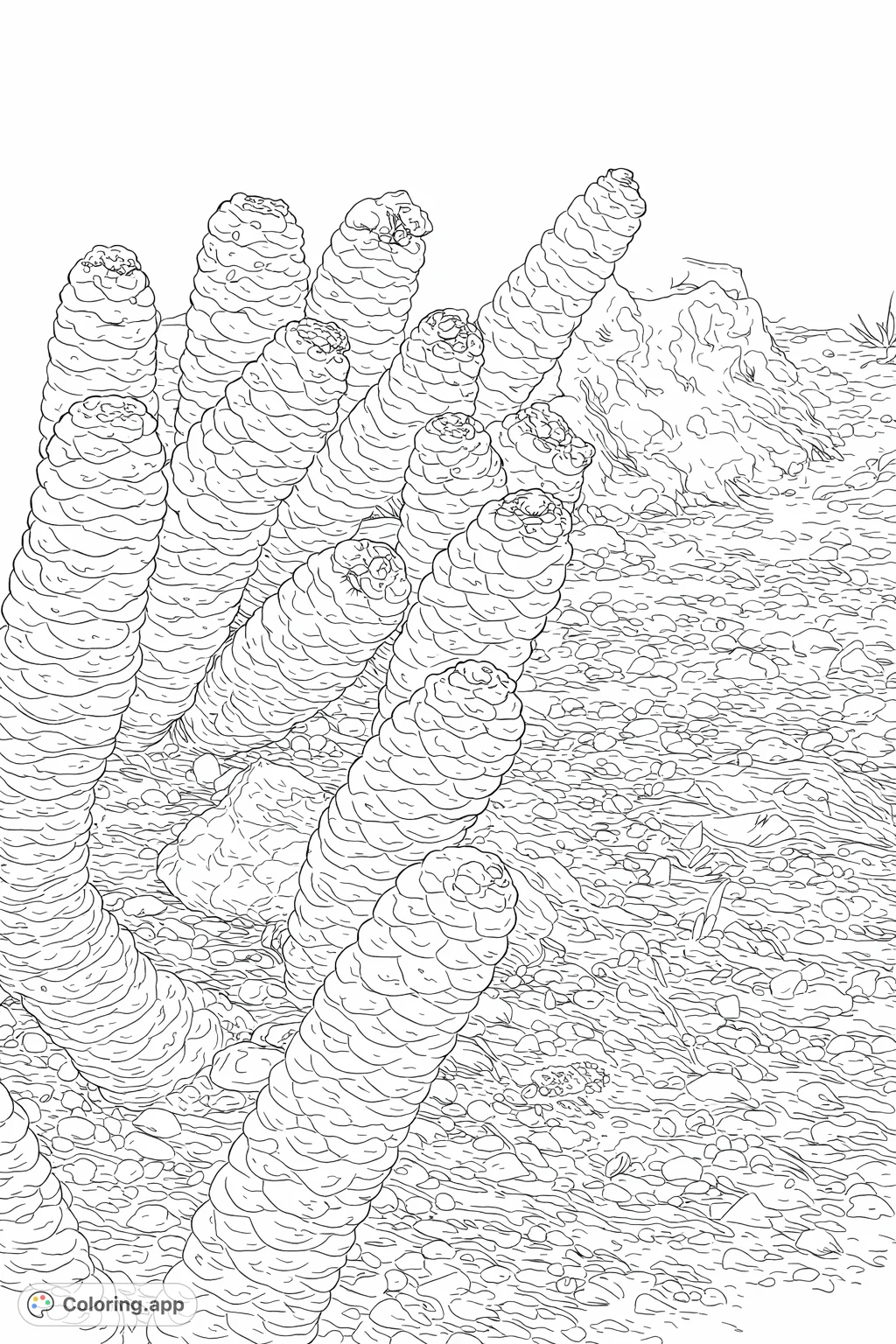 Explore the unique textures of this succulent coloring page. Perfect for adults and older kids seeking a detailed botanical coloring challenge.