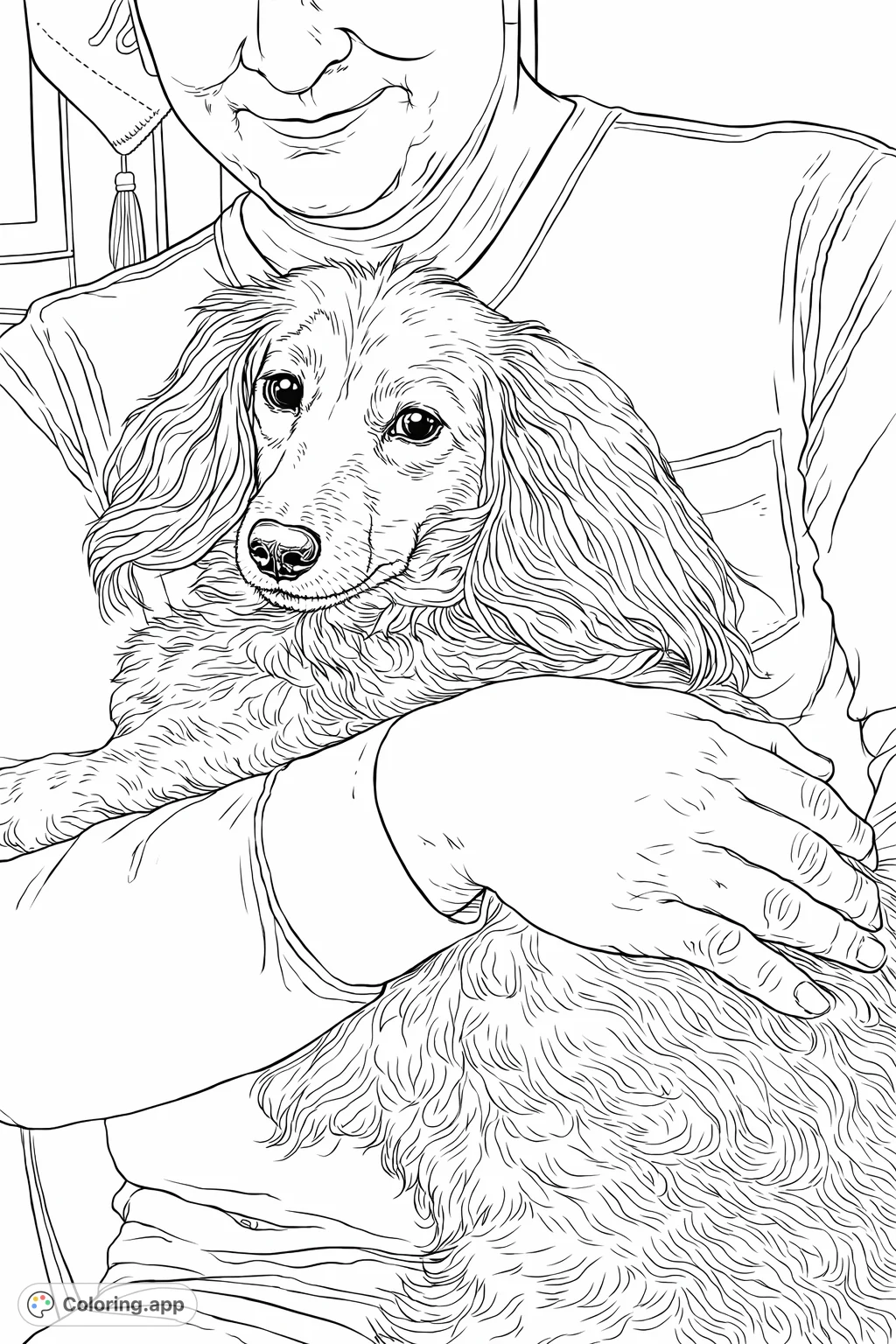 Discover a heartwarming dachshund coloring page. A loyal companion rests in a person's arms, offering a cozy scene for all dog lovers to color and cherish.