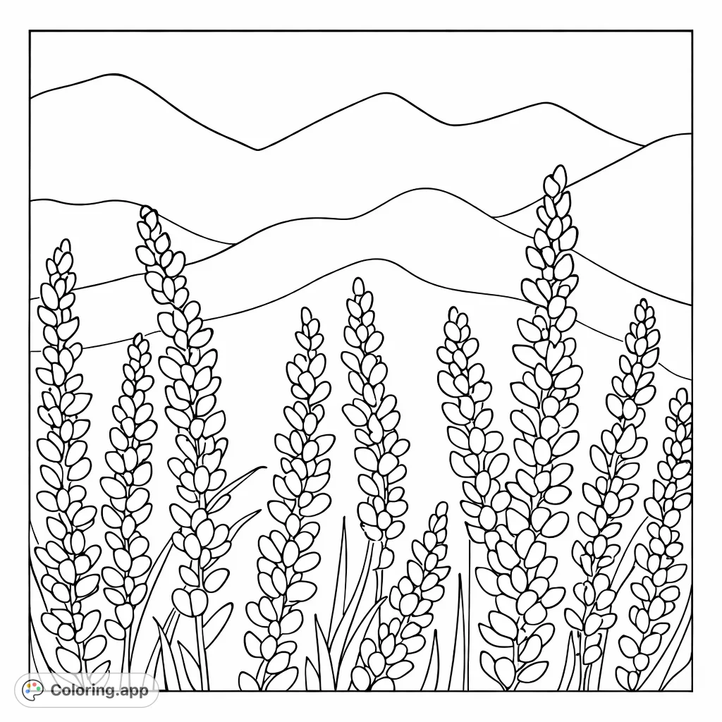Immerse yourself in a serene lavender field with rolling hills and distant mountains. Perfect for detailed coloring and relaxation.