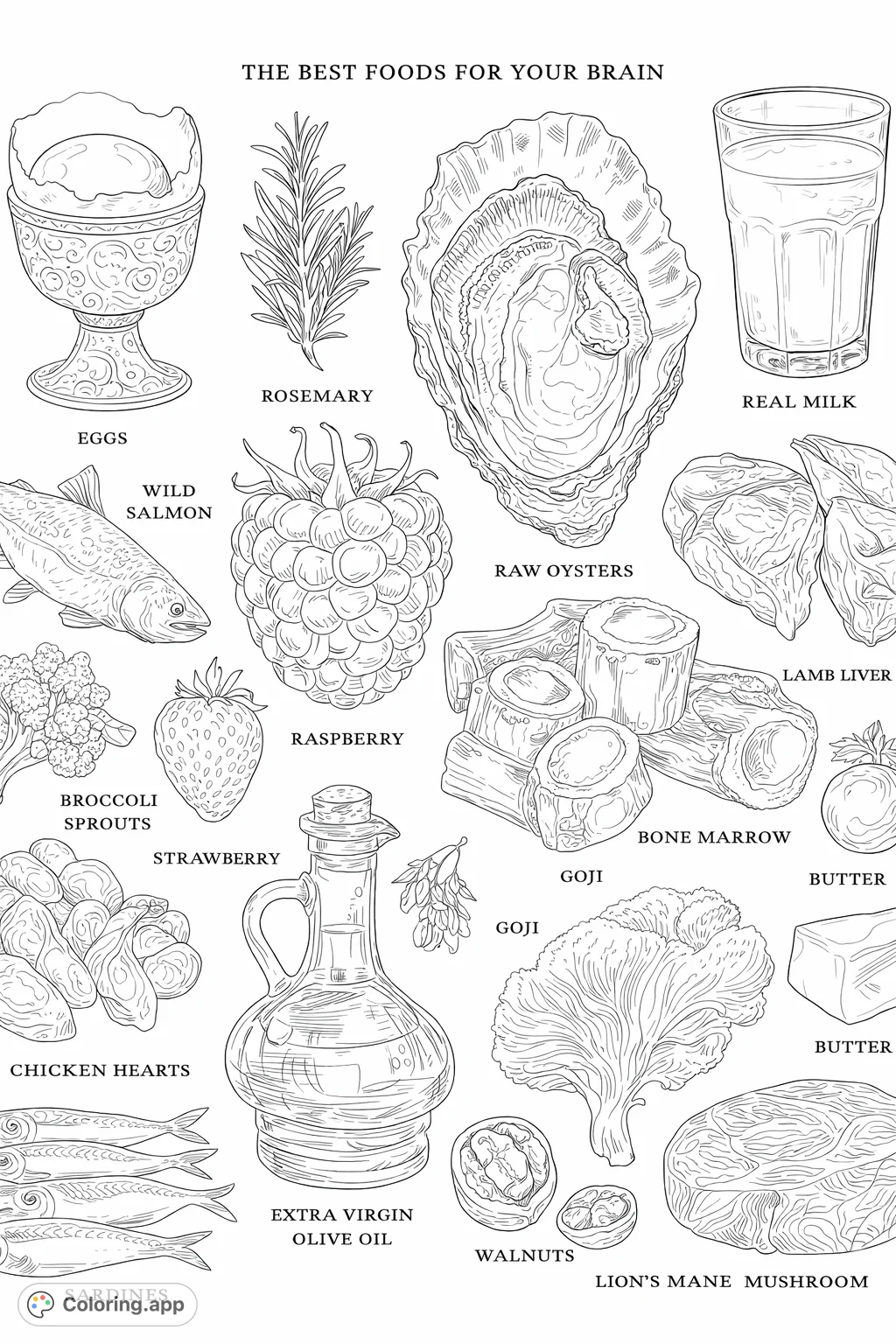 Explore a vibrant collection of brain-boosting foods including eggs, salmon, berries, and more. A fun and educational coloring page for all ages.