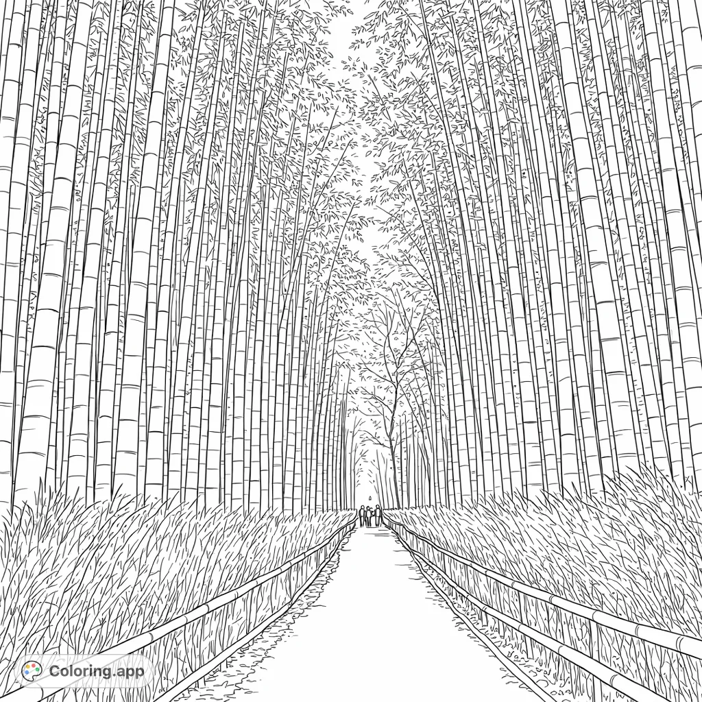 Explore a majestic bamboo forest coloring page. A serene pathway winds through towering stalks and feathery grasses, inviting peaceful reflection and creative coloring.