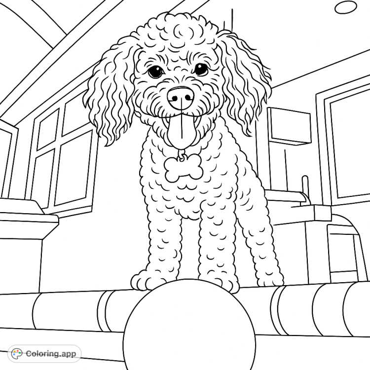 A cute poodle coloring page!  This adorable dog is ready for some coloring fun.