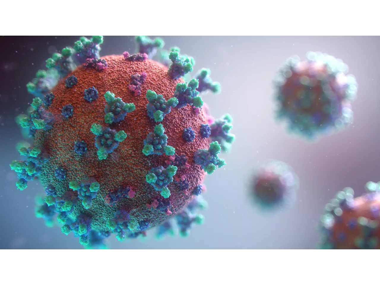 Covid-19 Virus