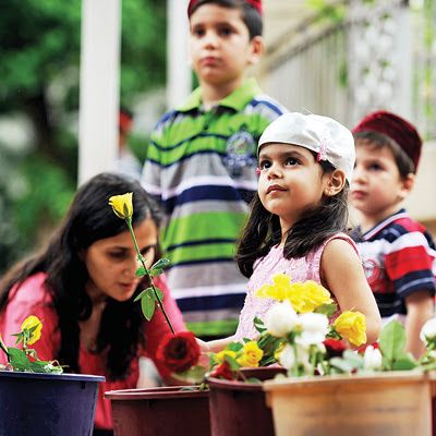 navroz