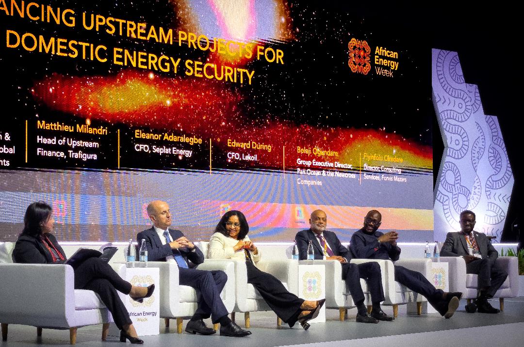 Our Acquisition Strategy Underpinned By Safety, Operational Excellence, People – Seplat Energy - FinancialEDGE