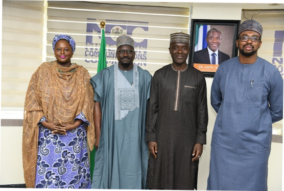 Renewable Energy Gets Boost as NCC, REA Inaugurate Joint Committee - FinancialEDGE
