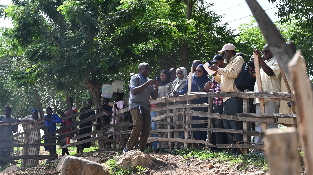 NIRSAL to Unlock $2.5bn FDI in Livestock Sector through Capacity Development - FinancialEDGE