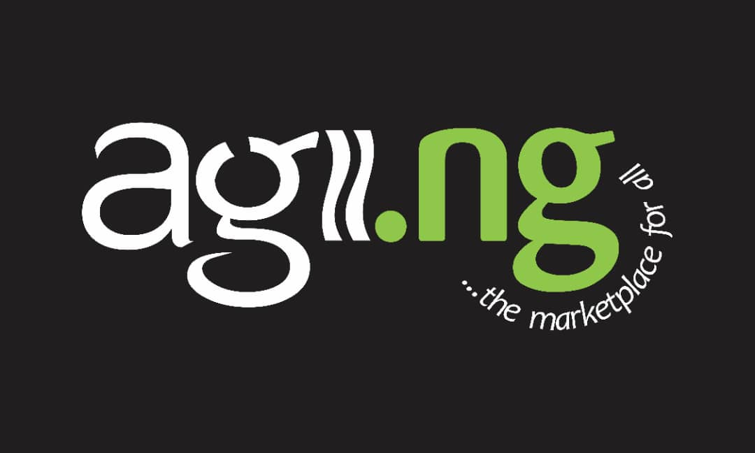 AGII.NG Sets to Revolutionized E-Commerce and Service Delivery in Nigeria - FinancialEDGE