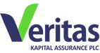 Veritas Kapital Assurance Plc Projects Improved Performance in 2024 - FinancialEDGE