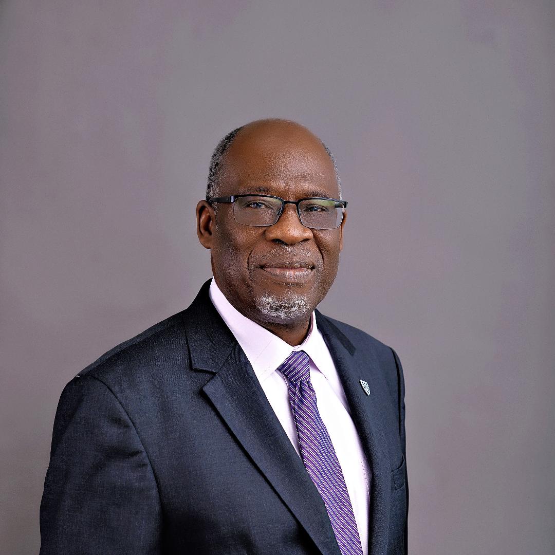 Pan-Atlantic University Announces Appointment of Dr. Peter Bamkole as Deputy Vice-Chancellor Administration - FinancialEDGE