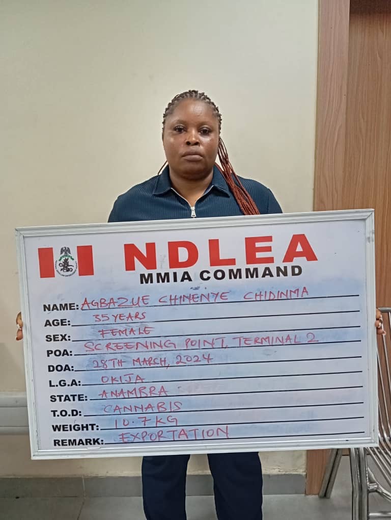 NDLEA intercepts Qatar-bound illicit drugs concealed in African salad, dried vegetables . Seizes consignment hidden in noodles packs going to Bayelsa creeks, razes over 3 tonnes of cannabis in Edo forests - FinancialEDGE