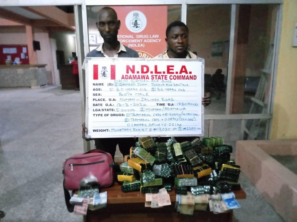 Hair stylist, dispatch rider arrested for selling drug-laced chin-chin to students, parties . As NDLEA intercepts drug consignments in car compartments, transport bus tyre, recovers 426,888 pills of tramadol - FinancialEDGE