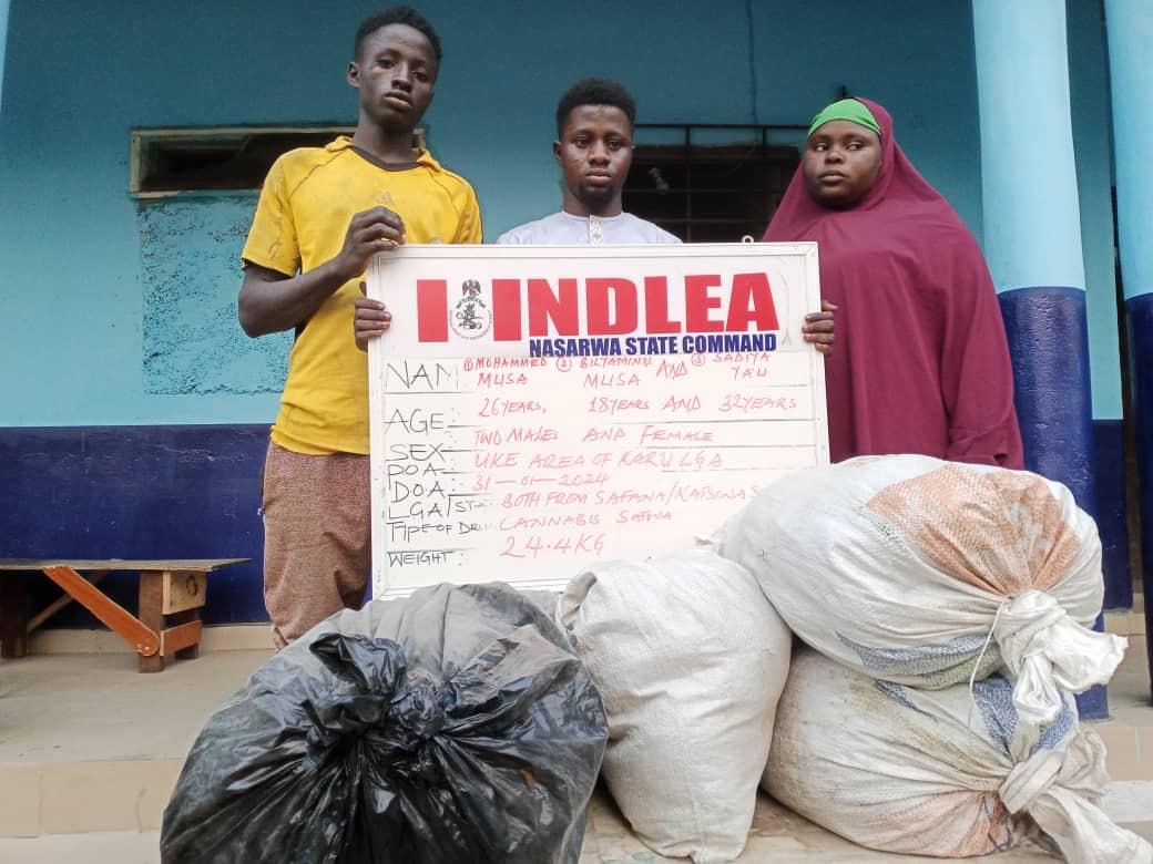 NDLEA intercepts 14.5 tons of Ghanaian Loud linked to wanted drug baron in Lagos