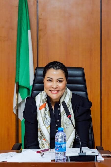 FG Targets Investment-Grade Rating By 2030, Says "Investment Grade Should Not Be An End In Itself" – Uzoka-Anite