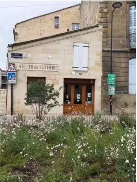 Local commercial