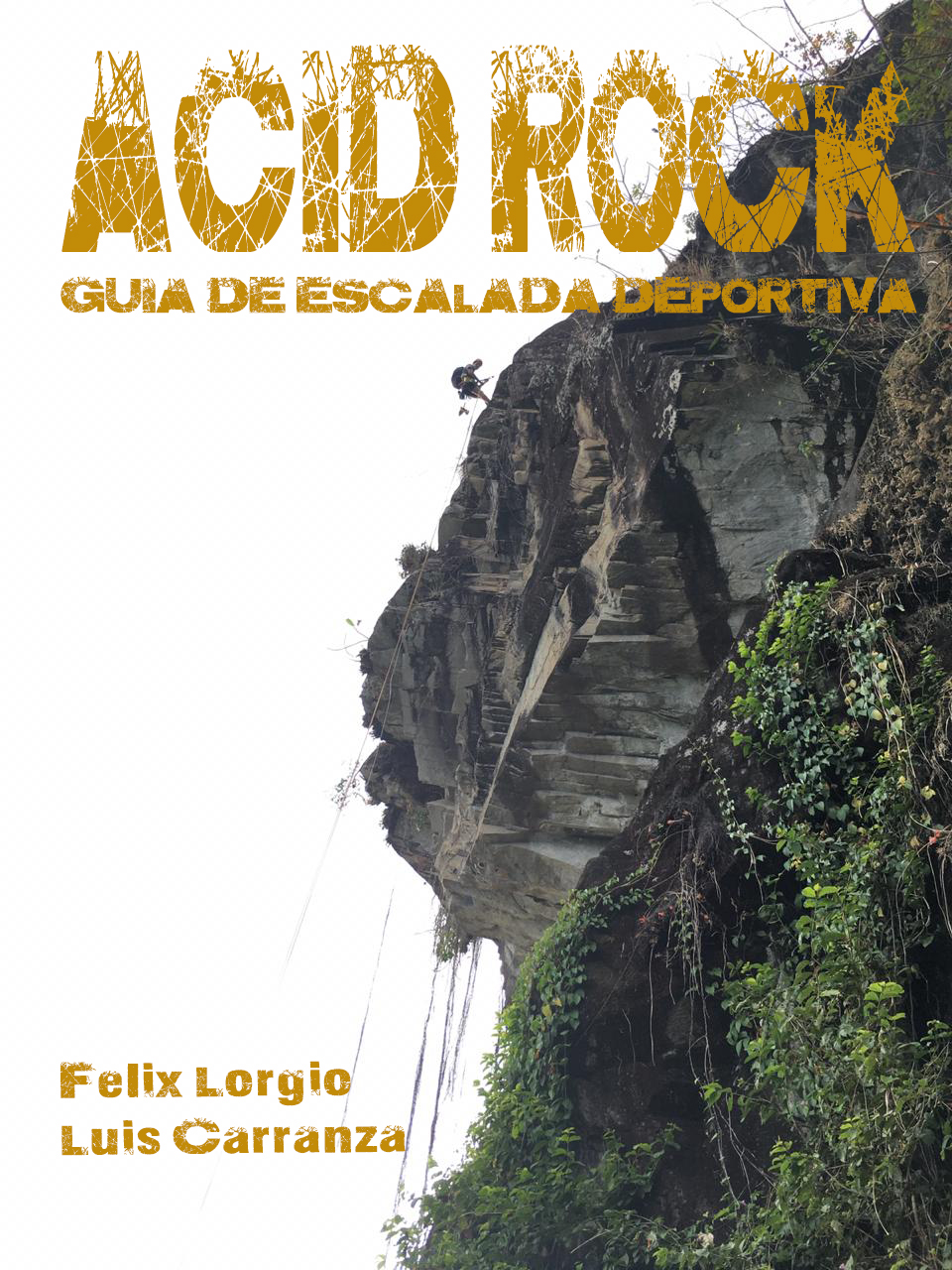 Acid Rock Guidebook Cover