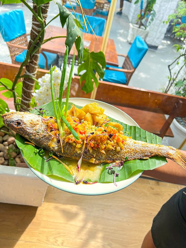 Rapa Nui Lagos