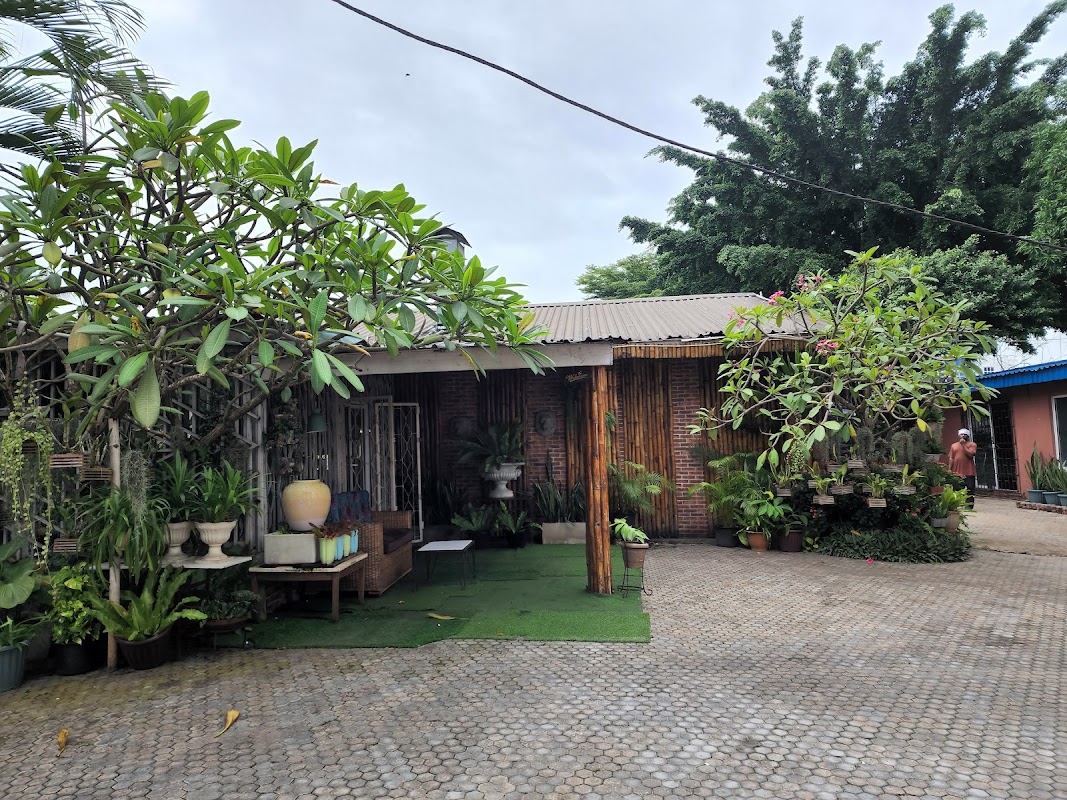 Orchid House Thai Restaurant - Apapa