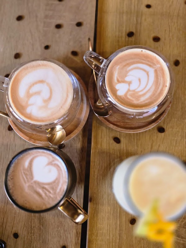 Mai Shayi Coffee Roasters Ltd