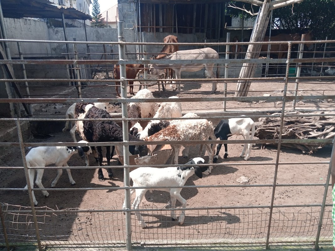 Greenfingers Wildlife Conservation