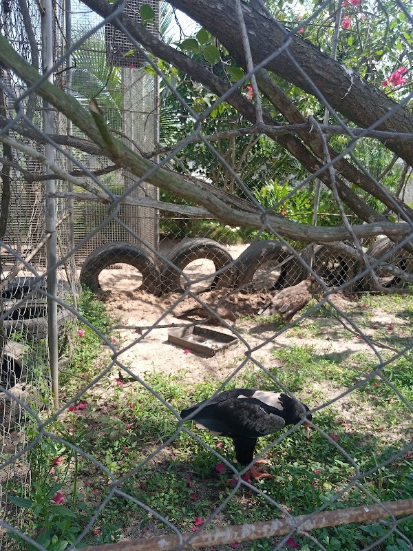 Greenfingers Wildlife Conservation