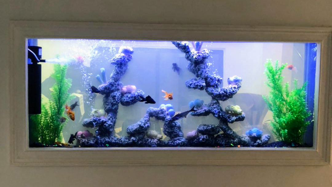 Hilma Aquarium