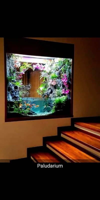 Hilma Aquarium