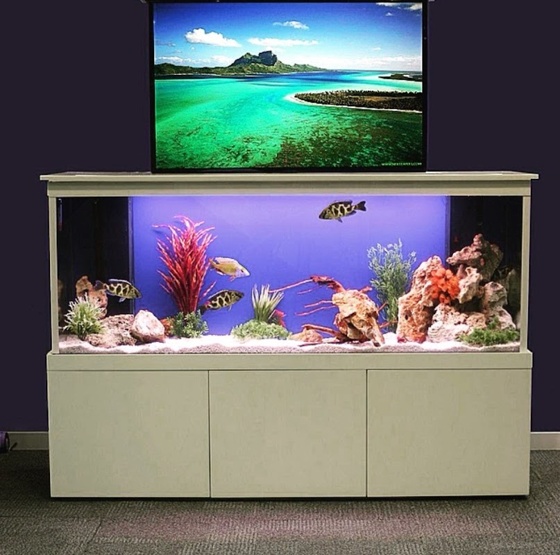 Hilma Aquarium