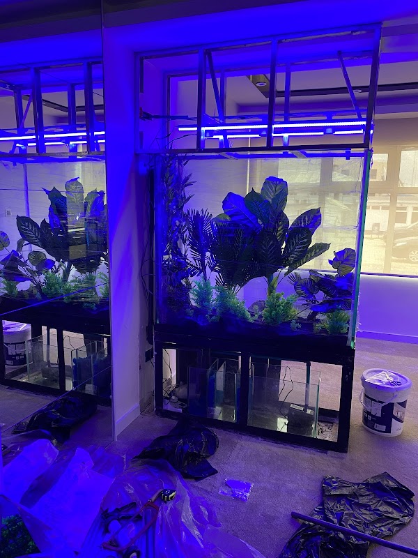 Hilma Aquarium