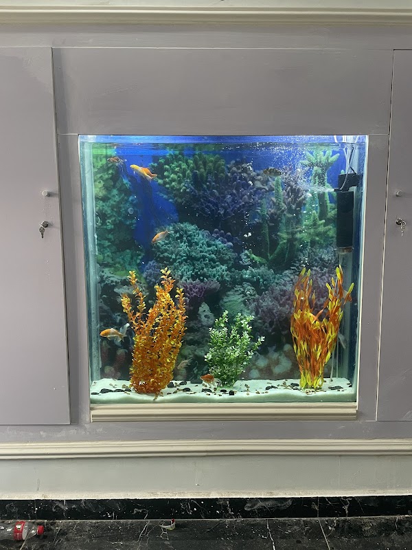 Homerald Aquarium