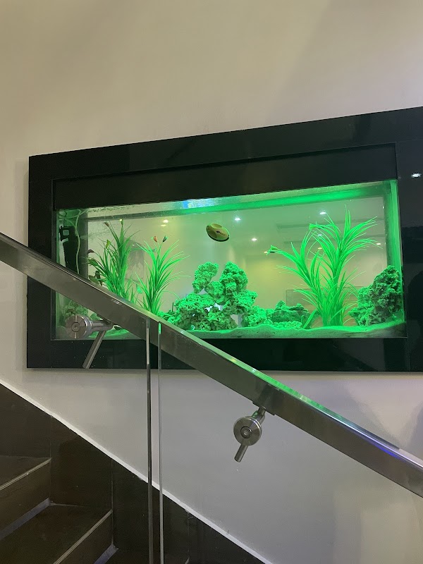 Homerald Aquarium
