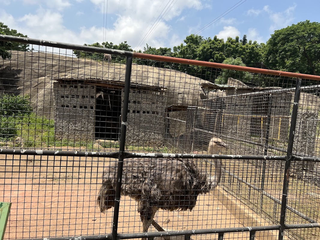 OOPL Wildlife Park