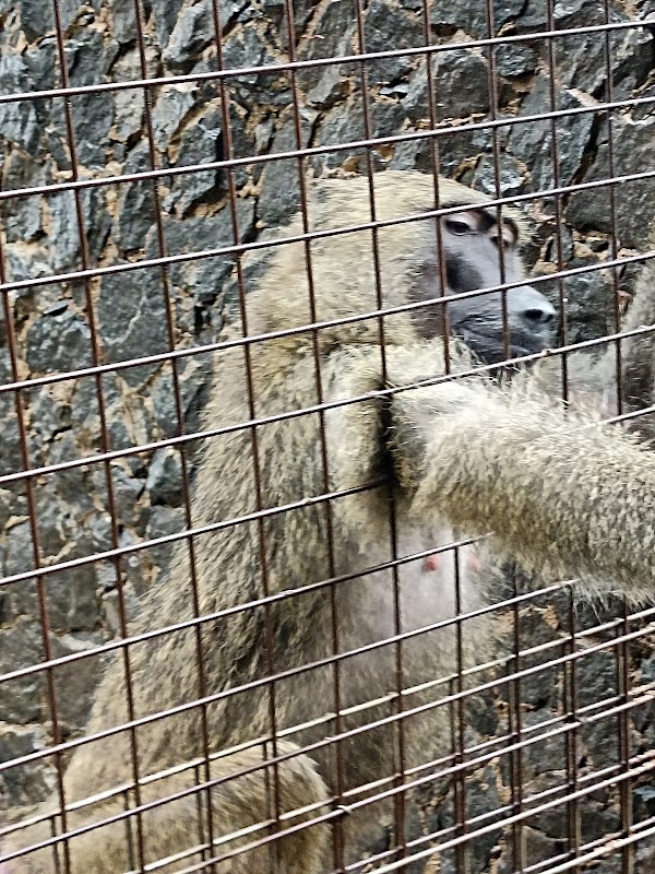 OOPL Wildlife Park