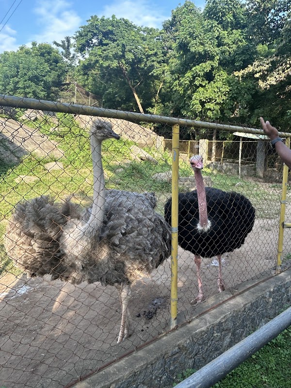 OOPL Wildlife Park